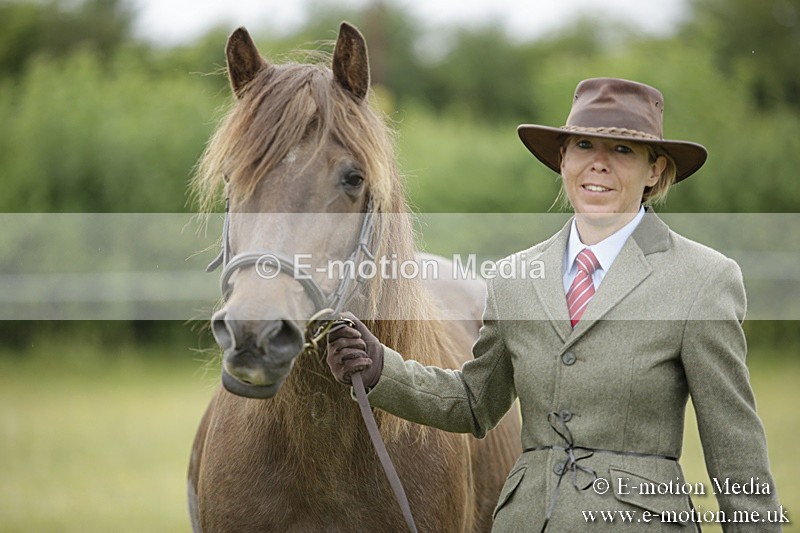BVR160717-732 - Ring 2 BVRC Show 16/07/17