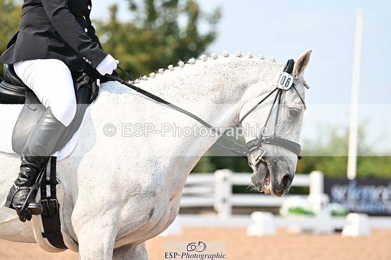 250816-135408-04784 - 106-Anita.WilcoxCasper.Rebel