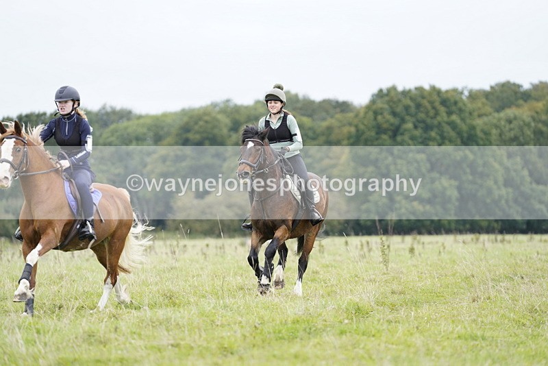 _DSC7082 - Time at Photographer 10:43 to 11:19