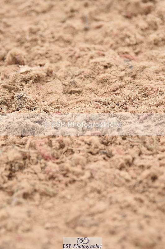 230830A-133126-00913 - Cls 4 Newcomers & Open