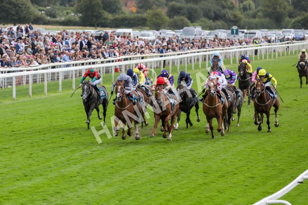 220824-Race 3-Thunder Run-7642 - Race 3 3.00pm Clipper Handicap