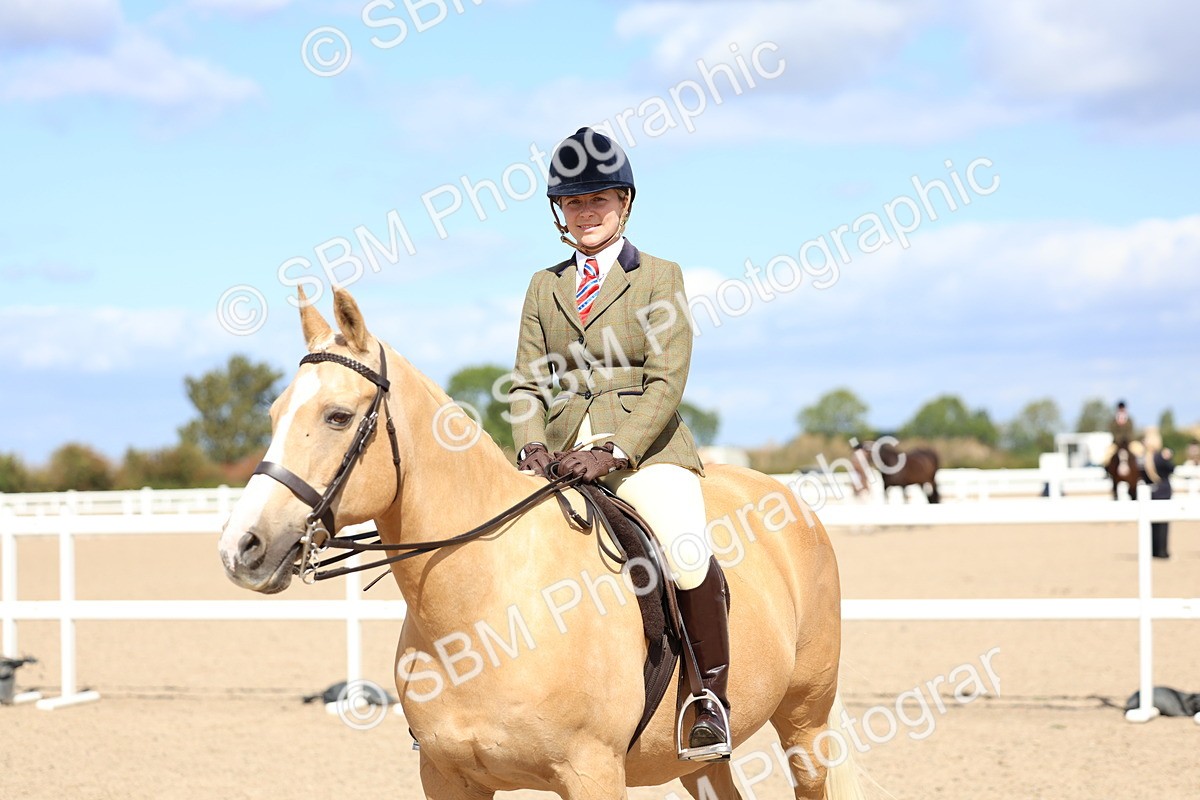 SBM_13314 - Class 311 - Ridden Show Pony Show Hunter Pony