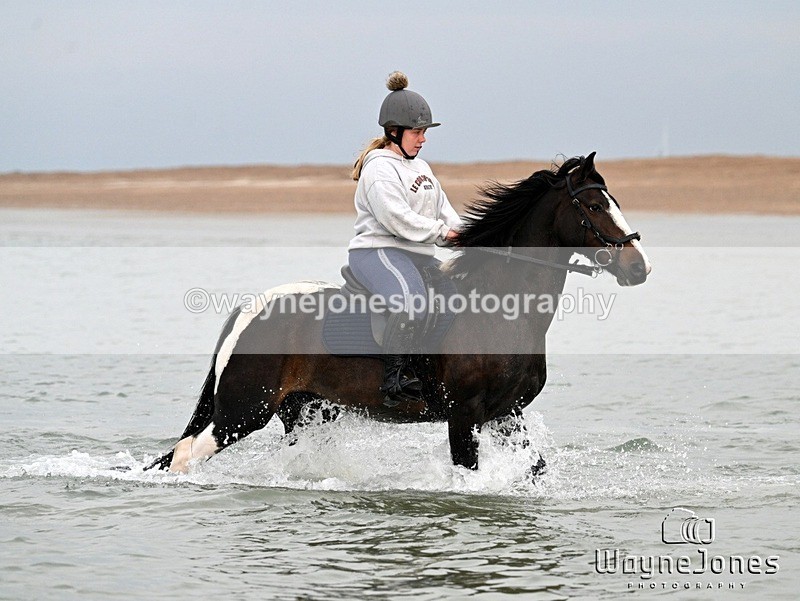 WJ7_9226 - Hayling Island Beach Shoot 22-09-24