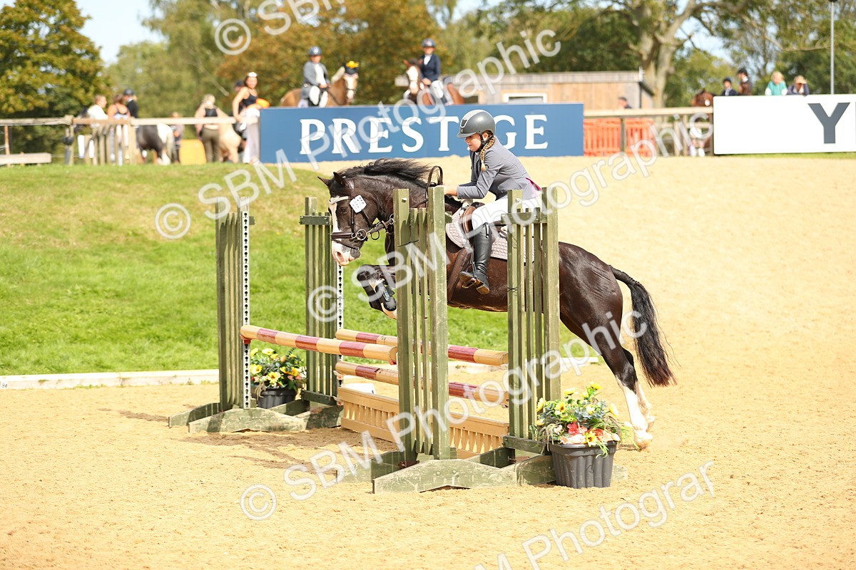 SBM_67119 - J17 - Junior Pony 80cm Championship
