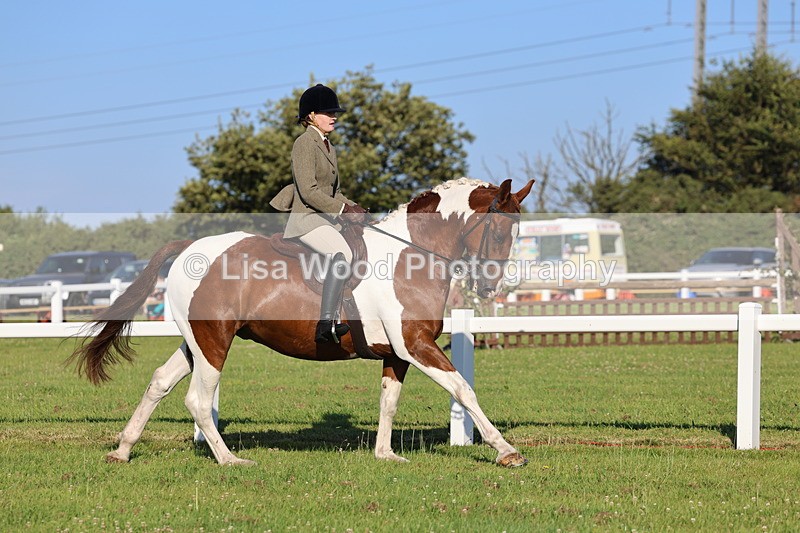 IMG_1202 - Class 27: Ridden Plaited Coloured Horse