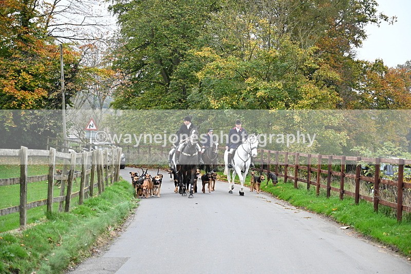 WJ7_7354 - The Meet
