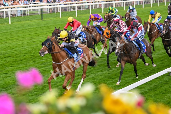 260725-Race 4-Air Force One-7596 - Race 4 3.20pm Sky Bet 'Jump Jockeys' Nunthorpe' Handicap