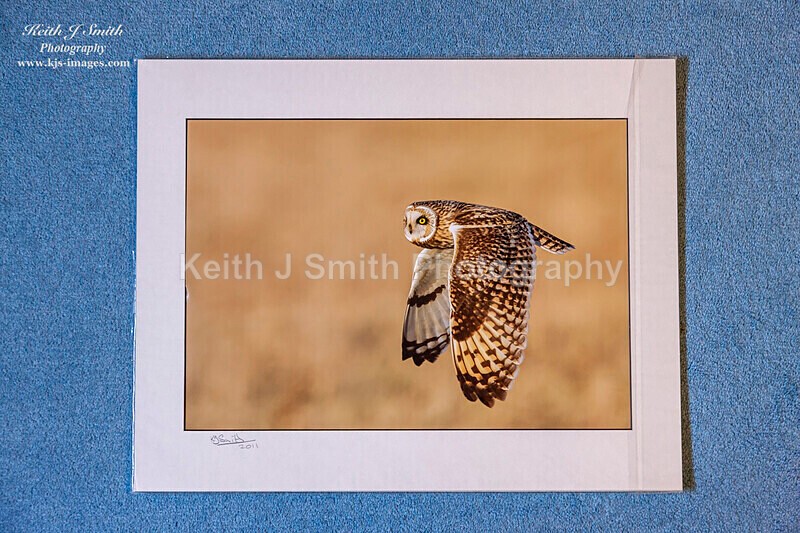 0SKJ9337 - Mounted prints for sale.