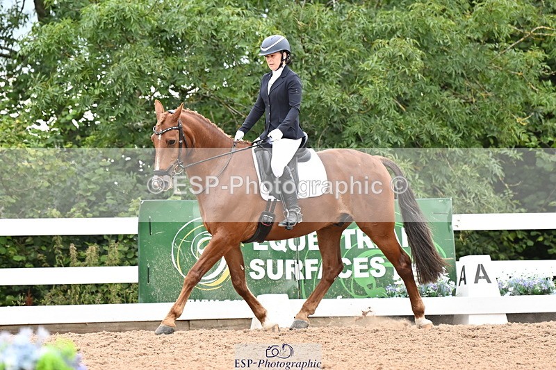 240817A-152138-10071 - 223-Pippa.Knight-KFS.Boston.Burglar