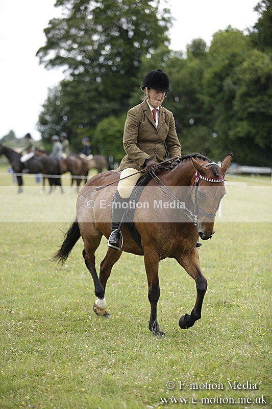 BVR160717-784 - Ring 1 BVRC Show 16/07/17