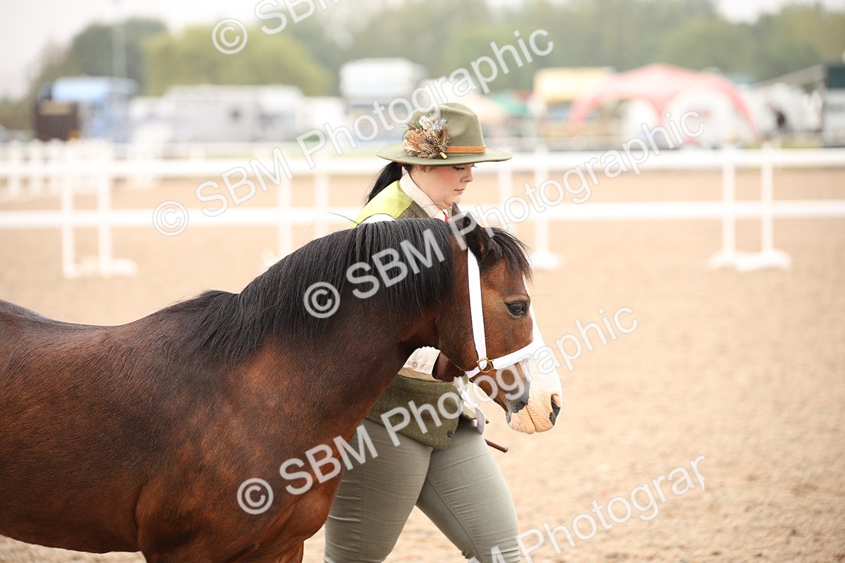 SBM_19308 - Class 701 - Best Turned Out IH & Ridden