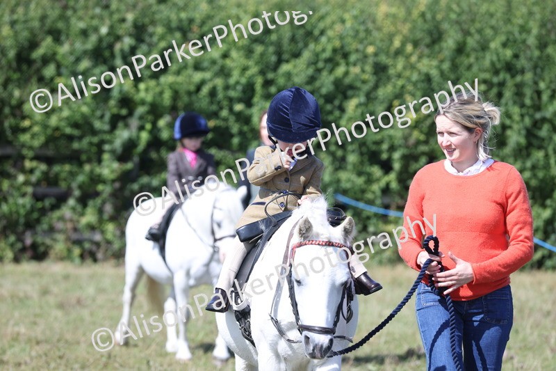 20250831-3126 - Class 24 - Absolute Beginners Pony