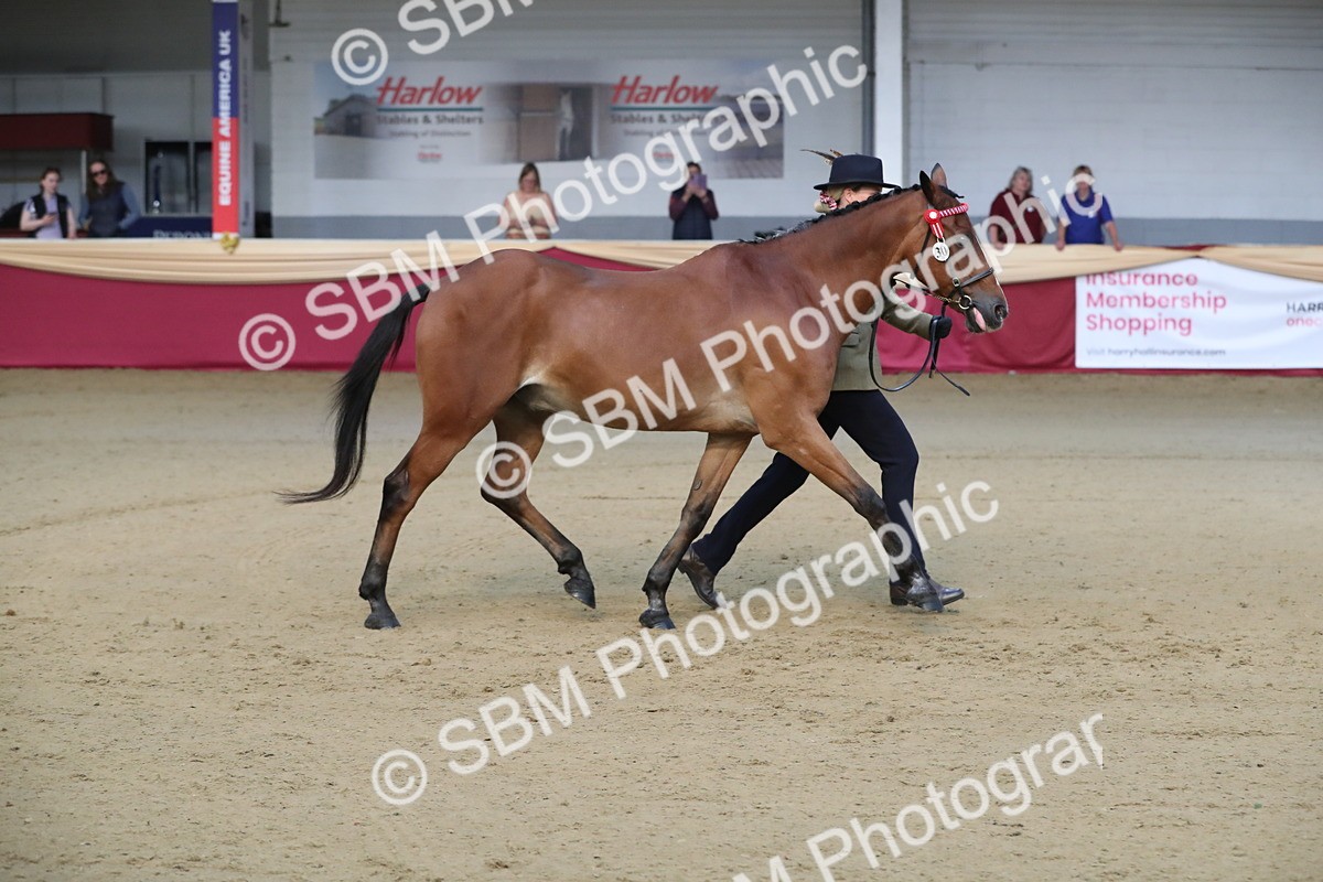 SBM_00272 - Class 1a - Area IH Diamond
