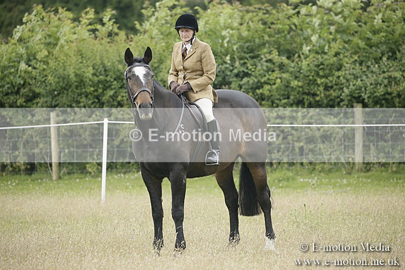B230619-0333 - Bourne Valley Riding Club Summer Show 23/06/19