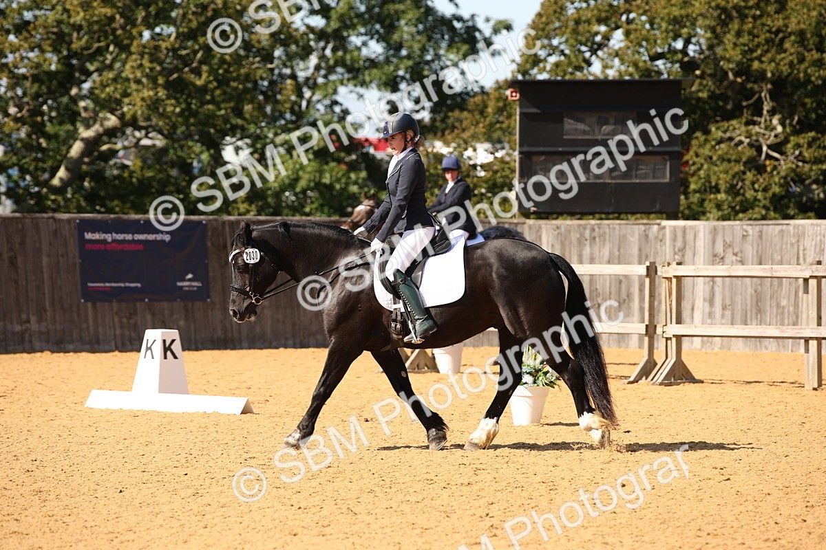 SBM_24220 - D5 - Small Tour Championship - Intro C