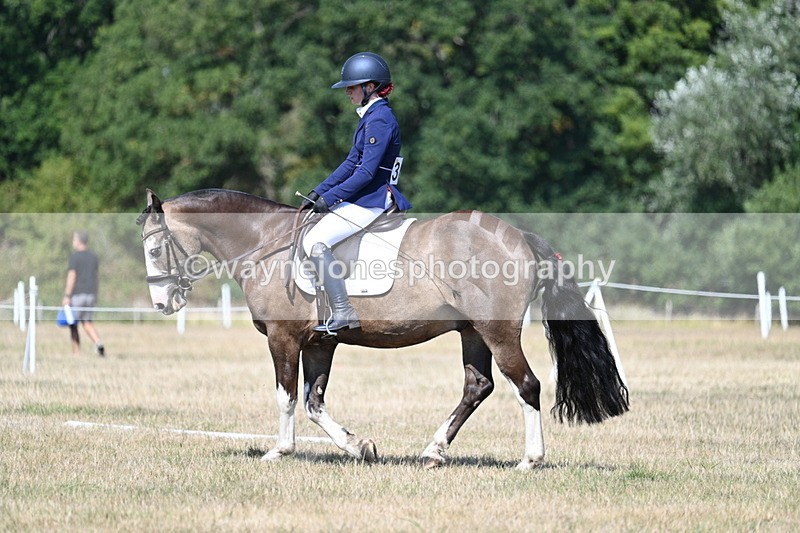 WJ7_0170 - Time 11:03 to 11:28