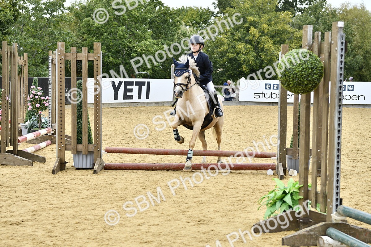 SBM_65506 - J2a mini Tour Junior Pony 30cm Championship