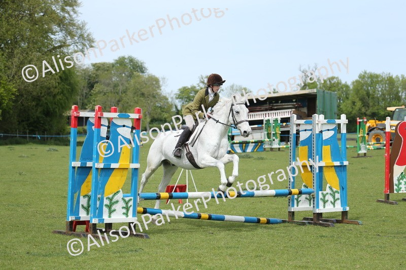 20260426-2056 - Class 15 - Absolute Novice 70cm