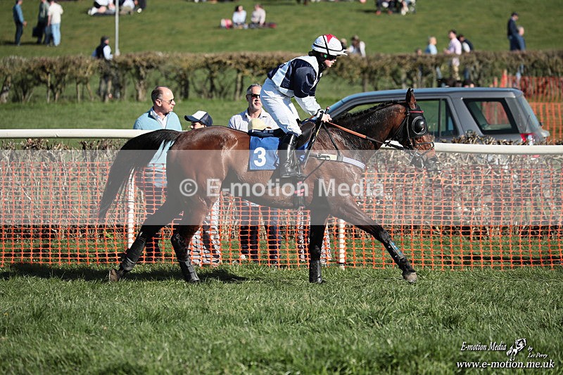 PtP 210326 644 - VWH Cirencester Races 21/03/26