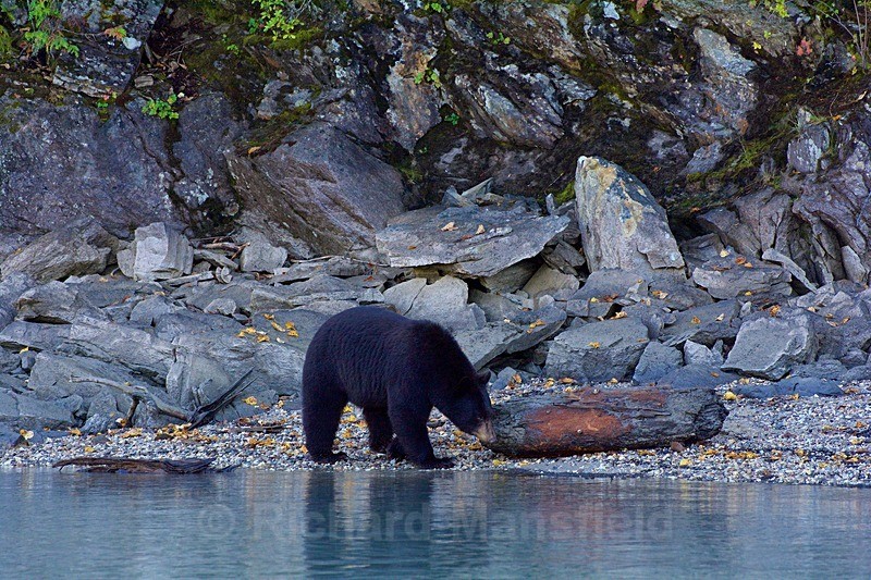  - Canada West Coast