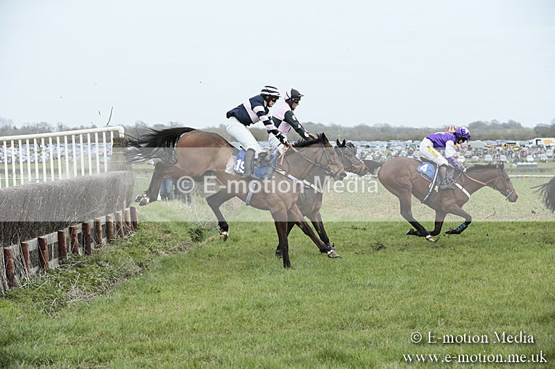 PtP 230319 195 - VWH Hunt Siddington Point-to-Point Racing 23/03/19