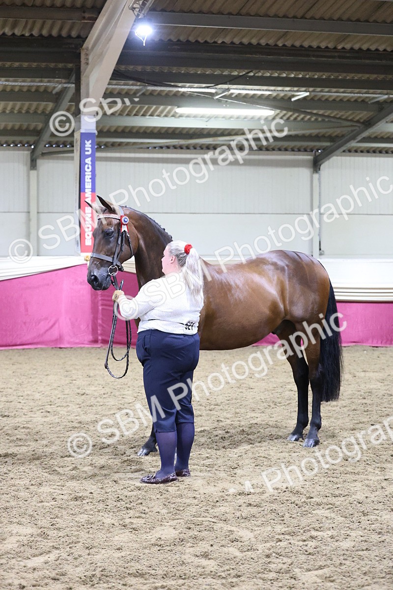 SBM_20540 - Class G - IH Large (over 148cm)Champ