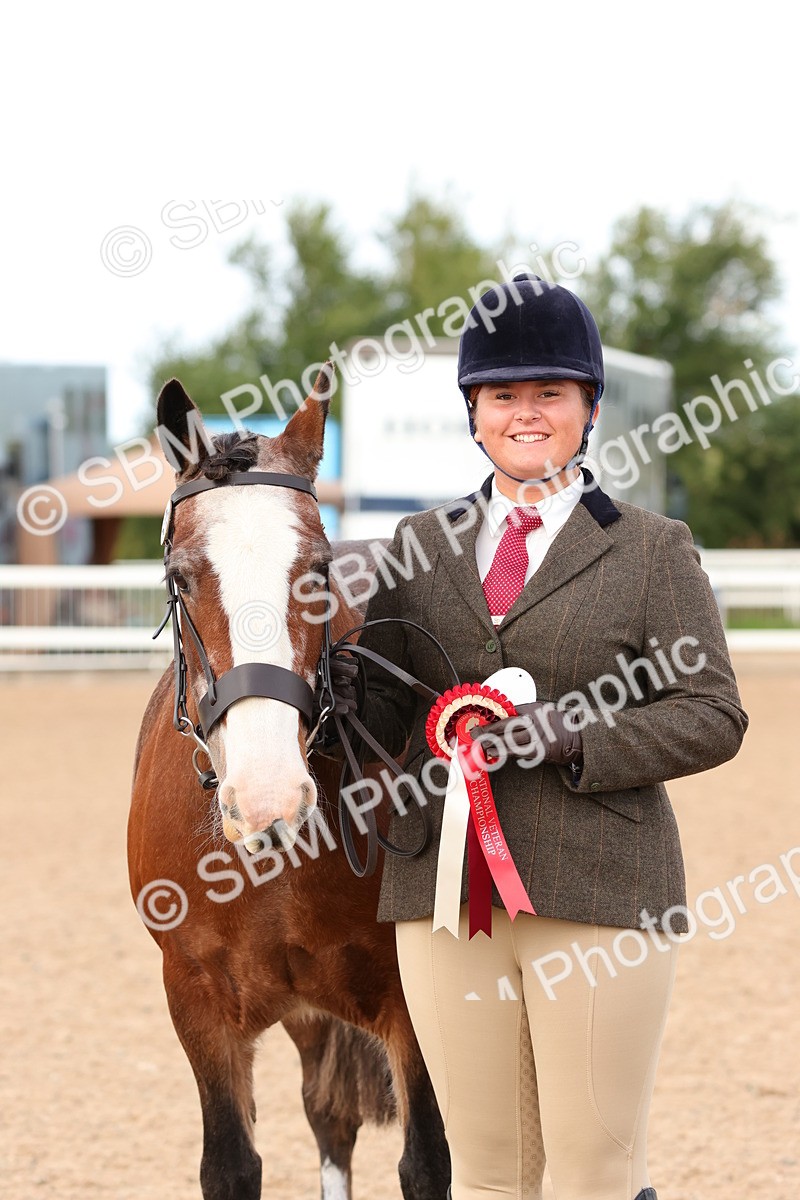 SBM_10338 - Class 206 - IH Non Show Type Pony