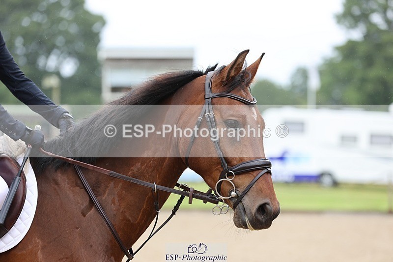 240705-083356-07651 - Cls 19 5 Yr Old Qualifier 1.10m