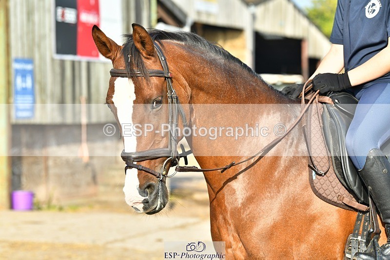 230817-083332-02412 - Stable Shots