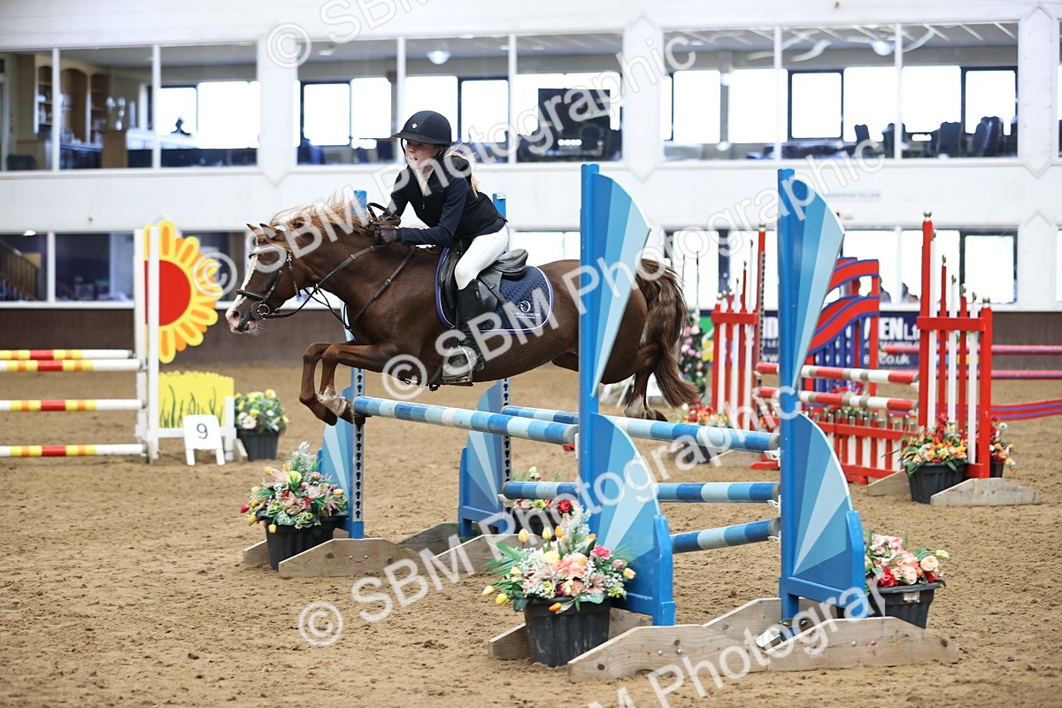 SBM_002601 - Class 12 - Springboard 128cm 138cm 90cm 1.00m