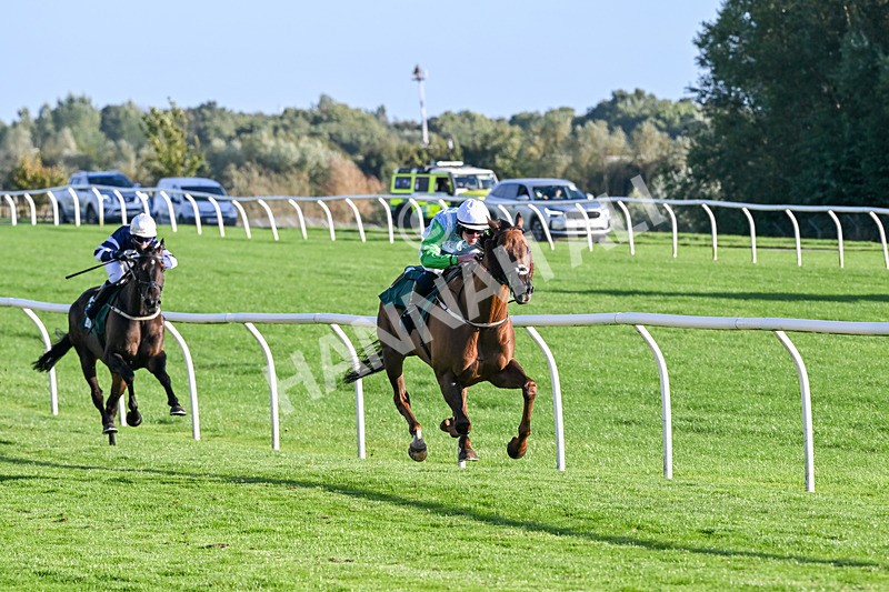 080926-Race 8-Zimmerman-3502 - Race 8 5.51pm Racing Again 30th September Amateur Jockeys' Handicap
