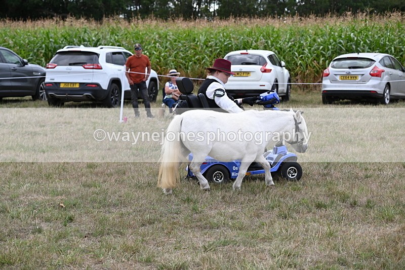 WJ6_6054 - Class 19 In-hand Veterans (Uploaded correct folder)