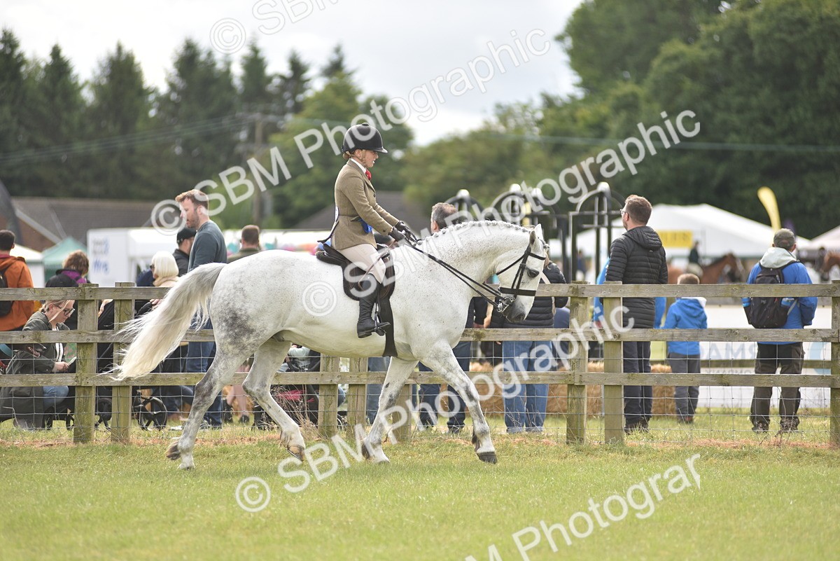SBM_12182 - Class 110-112 - LIHS BSPS Performance Pones