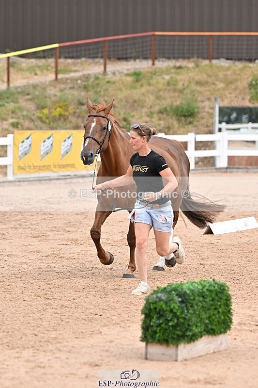 250716-143059-01159 - Trot Up 2.30 to 3.30