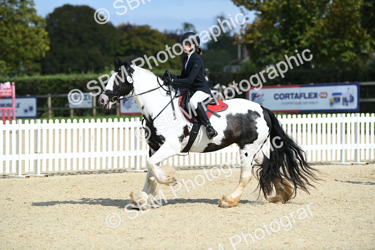 SBM_64801 - J48 - Pairs Jumping Open 70cm & 85cm