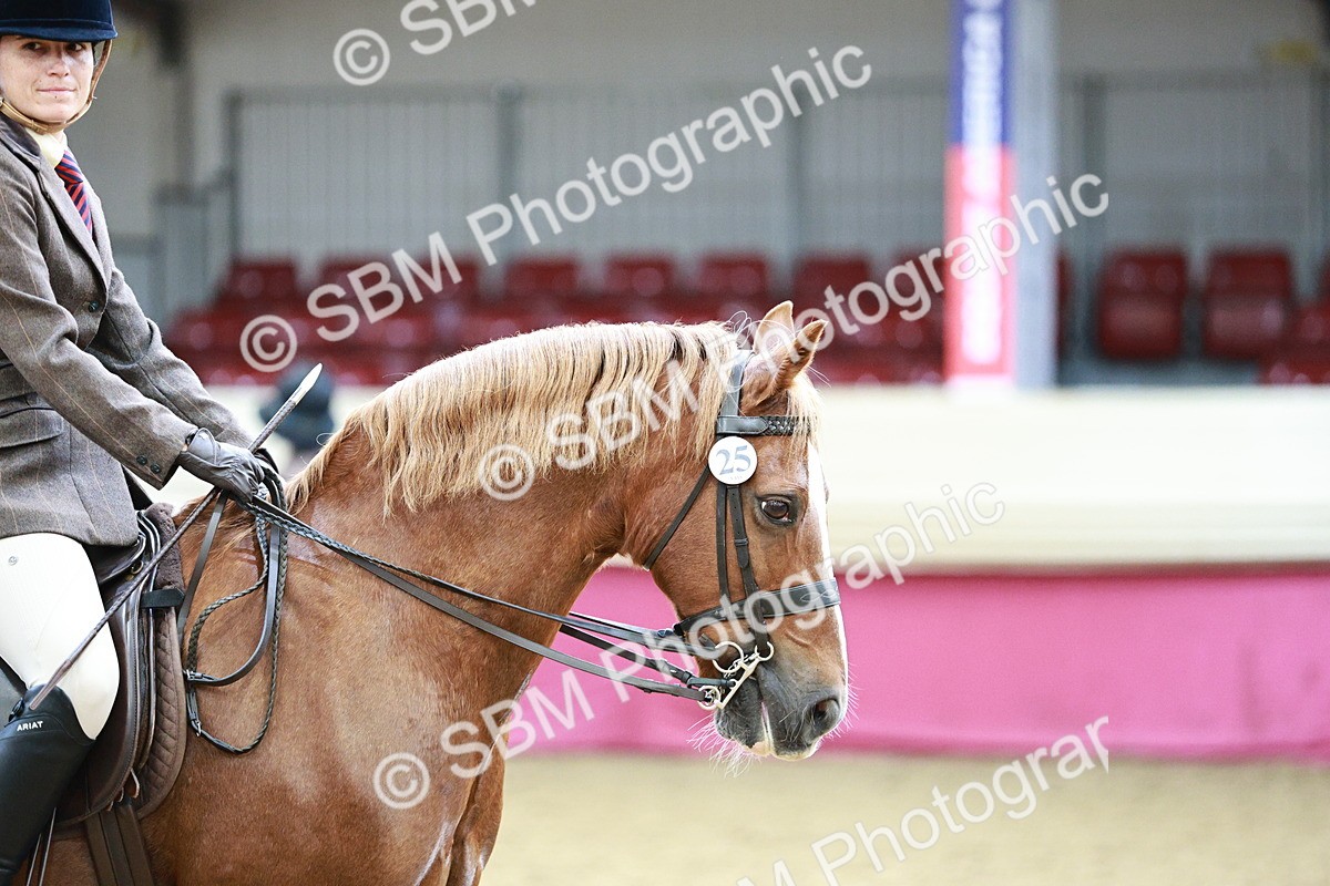 SBM_02229 - Class 4A - Area Ridden Diamond