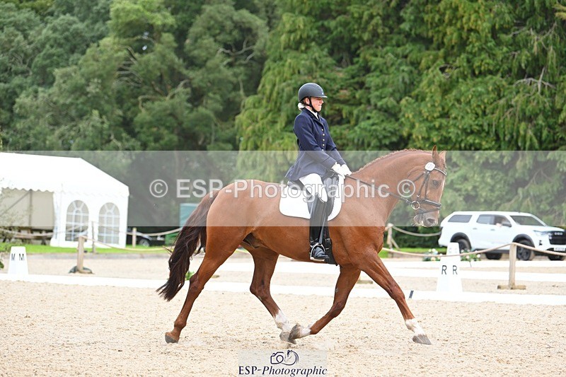 230813-135411-07636 - Cls 13 Medium Bronze 13.15 to End