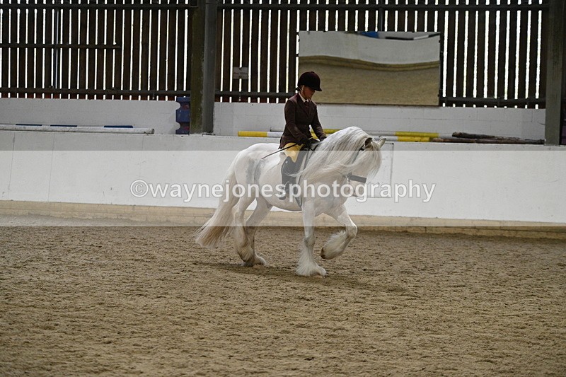 WJ7_3667 - Class 16 Ridden Coloured/ Odd Coloured