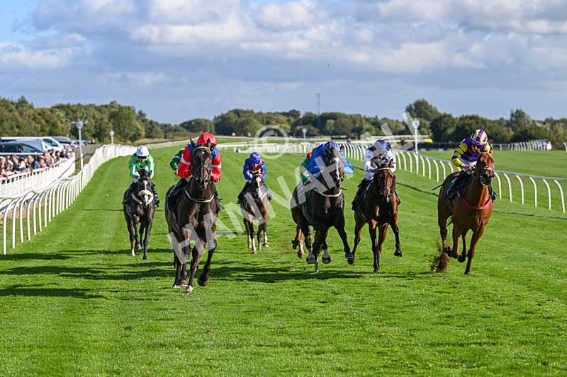 100924-Race 5-Crocodile Power-0437 - Race 5