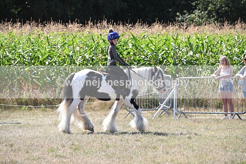 WJ6_8959 - Class 38 Ridden Riding Horse/Pony
