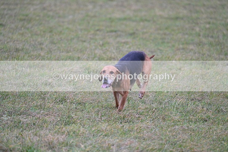 WJ7_0439 - Camera 1