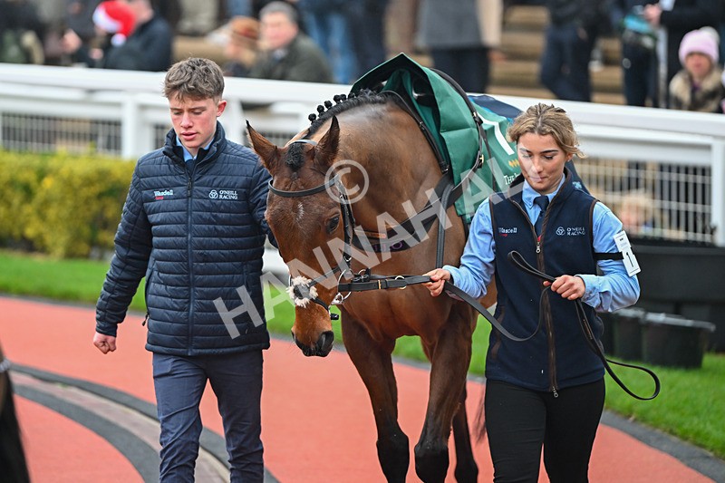 131224-Race 2-Springwell Bay-8636 - Race 2