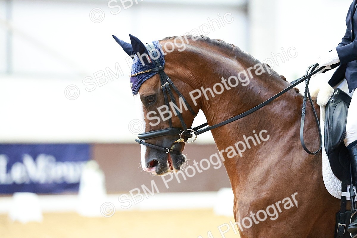 SBM_003954 - Class 1 - M5