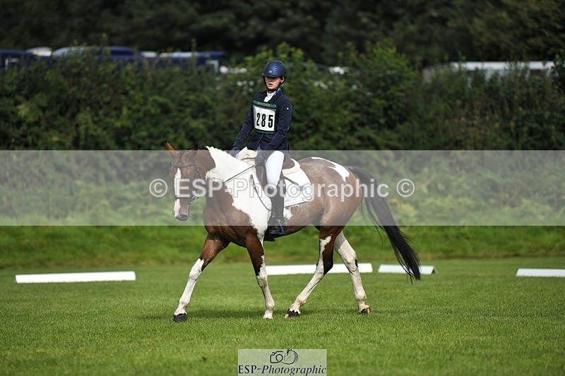 230826-100925-15377 - Sections C & D 10 to End