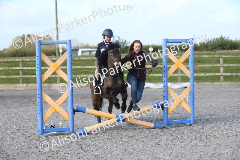 20260412-0054 - Show Jumping