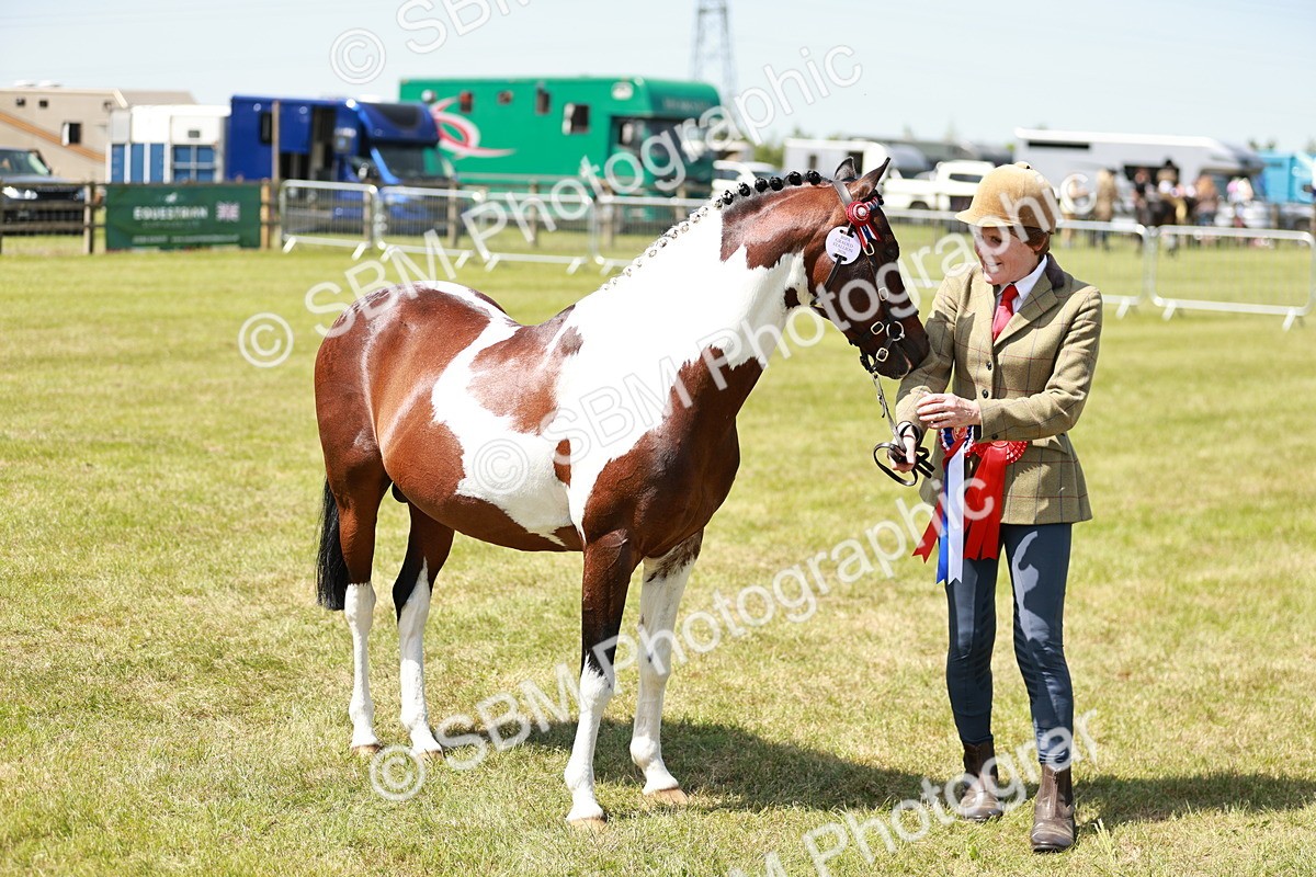 SBM_05469 - Class 39-40 - BSPA Coloured In Hand