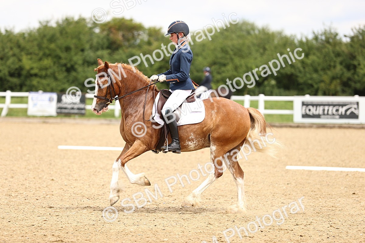 SBM_000925 - Class 4 - Novice 5