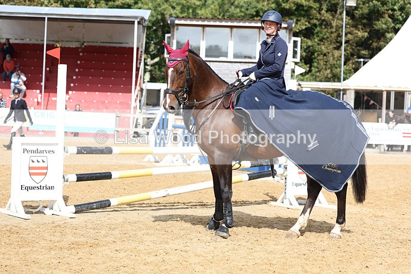3E7A9511 - Class 9: Senior British Novice/90cm open