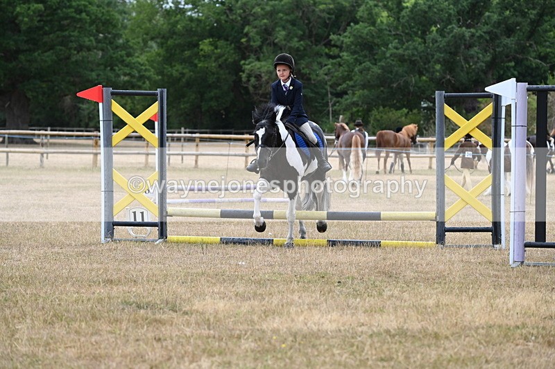 WJ6_9390 - Class 12 Minimus Jumping 45cm