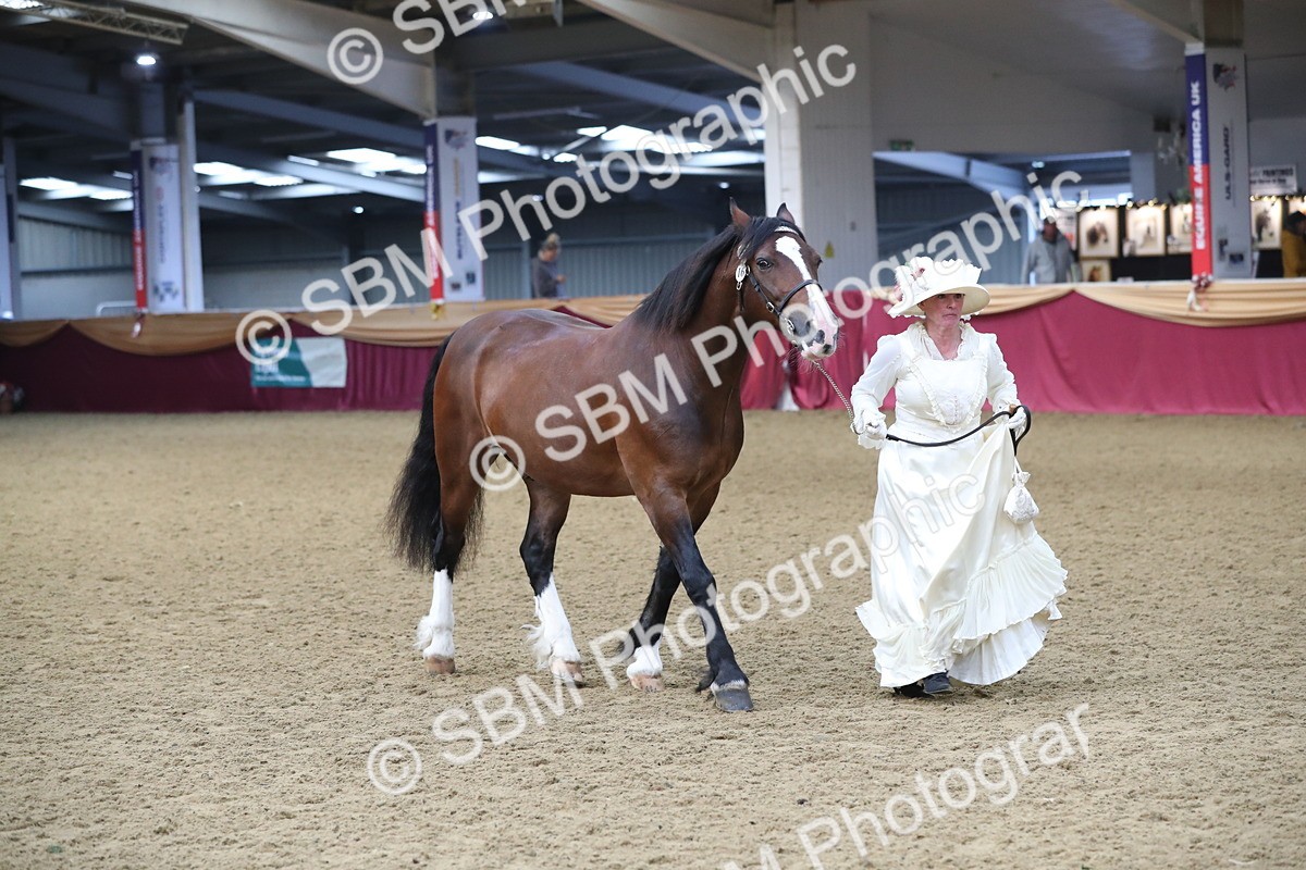 SBM_10777 - Class 103 IH Costume